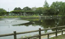 浅井山公園