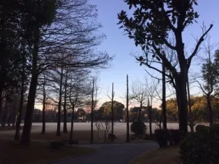 稲沢公園 