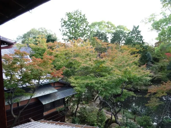 昭和美術館南山寿荘書院からの眺め